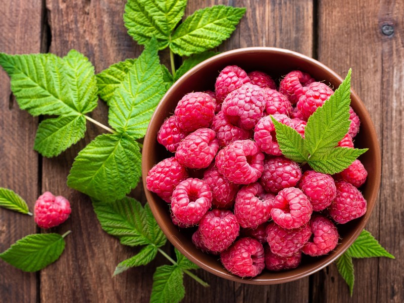 Himbeeren lagern: Eine Schale Himbeeren auf einem Holztisch. Drum herum sind Himbeerblätter drapiert.