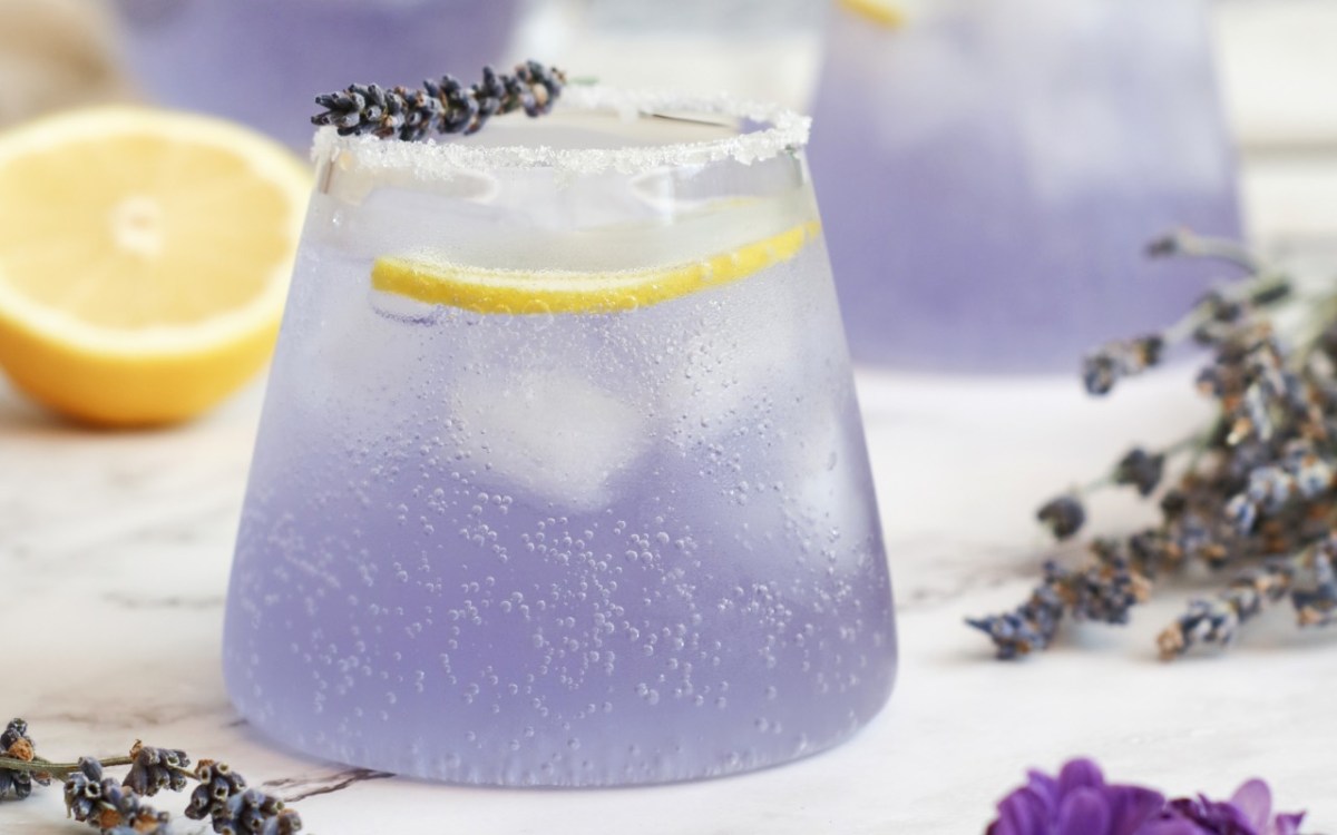 Ein Glas Holunder-Lavendel-Spritz. Drumherum liegen Lavendelblüten und eine halbe Zitrone.