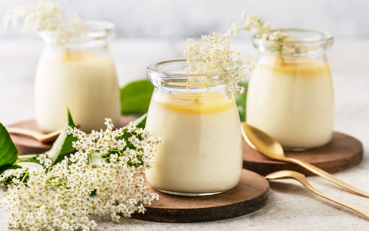 Holunderblüten-Panna-Cotta: luftig-leicht und zart cremig - Leckerschmecker