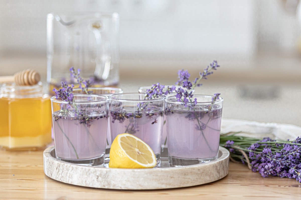 Mehrere Gläser Lavendel-Limonade auf einem Tablett. Lavendelblüten liegen als Dekoration daneben.