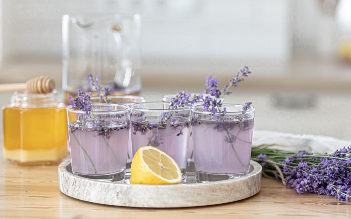 Mehrere Gläser Lavendel-Limonade auf einem Tablett. Lavendelblüten liegen als Dekoration daneben.
