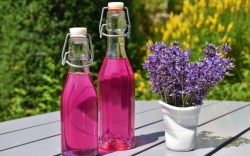 Zwei Flaschen Lavendelsirup neben einer Vase mit frischen Lavendelblüten.