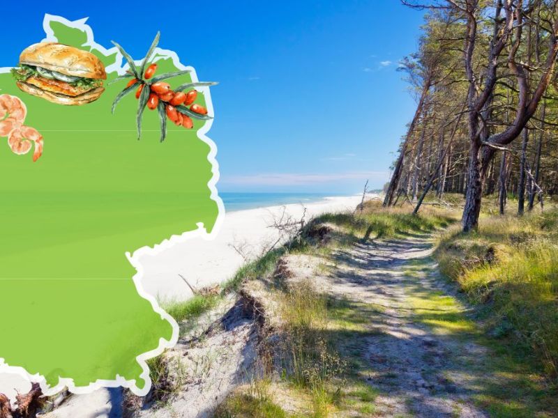 Norddeutsche Küche: Ein Strandweg auf Rügen. Daneben eine hellgrüne Deutschlandkarte mit Spezialitäten der Region: Sanddorn, Fischbrötchen und Krabben.