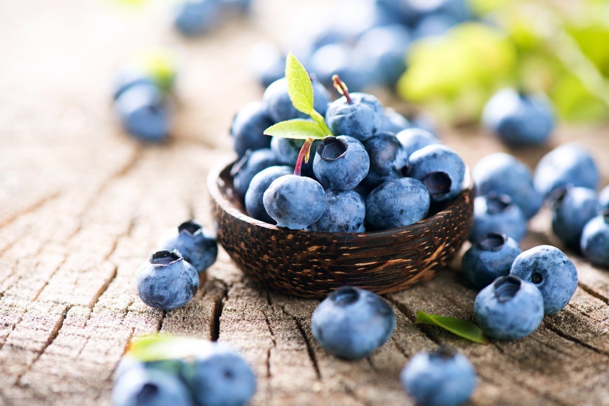 Unterschied zwischen Blaubeeren und Heidelbeeren: eine kleine Schale mit Blaubeeren auf einem TIsch. Daneben sind mehr Blaubeeren.