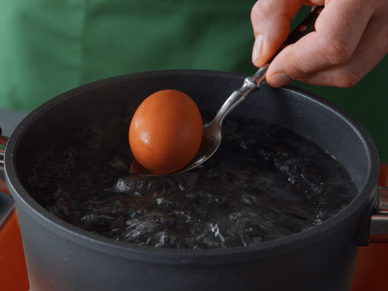 Eier kochen: Eine Hand gibt ein Ei in kochendes Wasser.